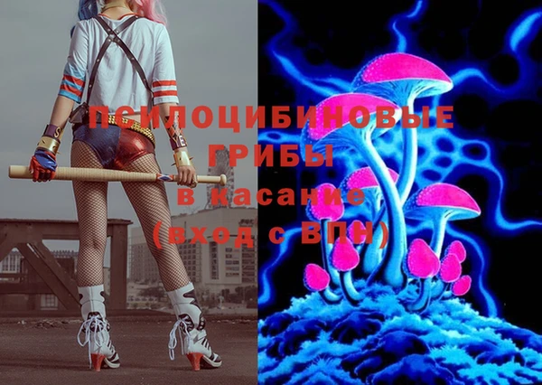 мяу мяу мука Алзамай
