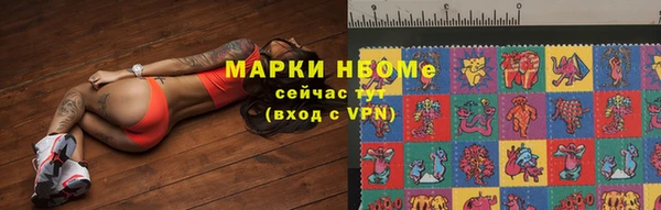 мяу мяу мука Алзамай