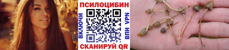 Галлюциногенные грибы Magic Shrooms  Зуевка 
